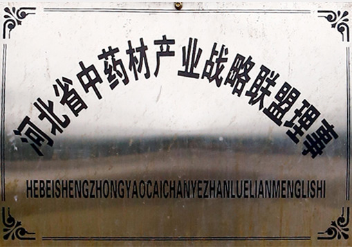 企业证照