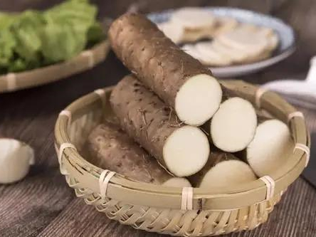 中医养生：调理脾胃，中医药食同源，吃出好脾胃